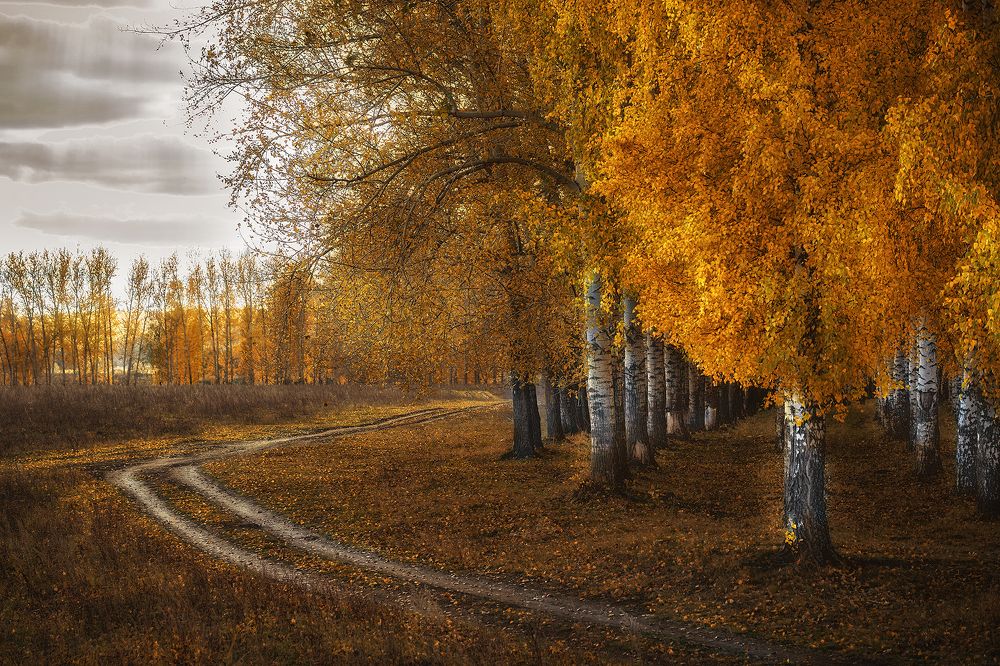 Photograph by Тамара Андреева