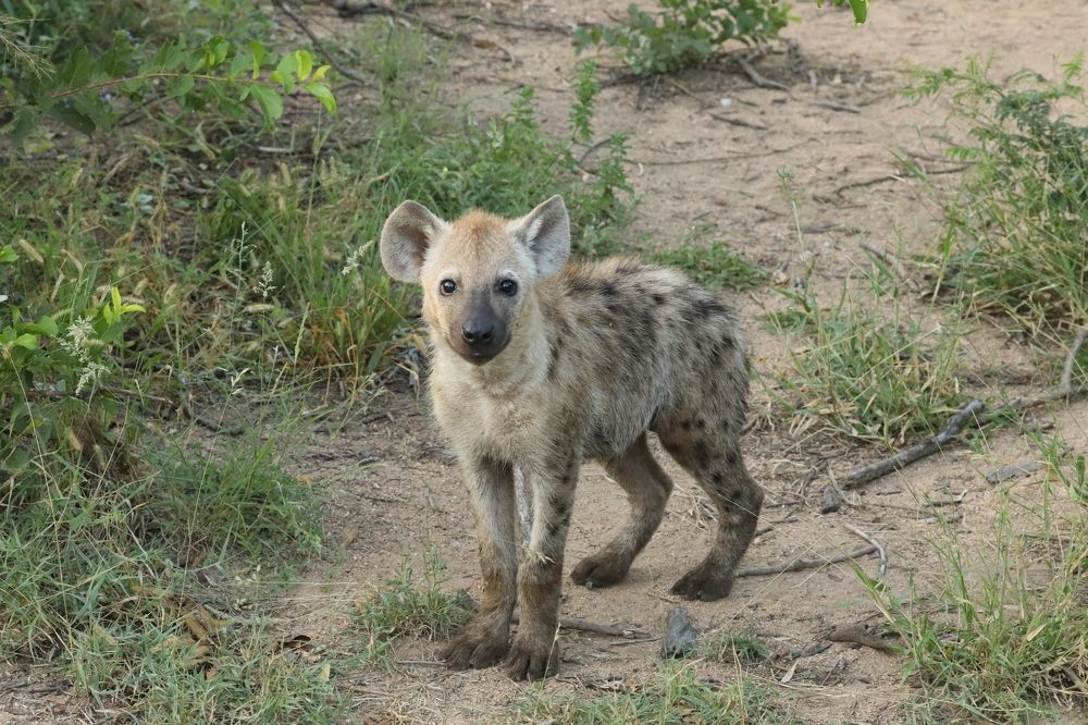 Photograph by ELVIRA LUNEVA