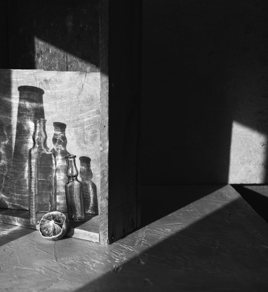 Фотография автора Елена Хазина