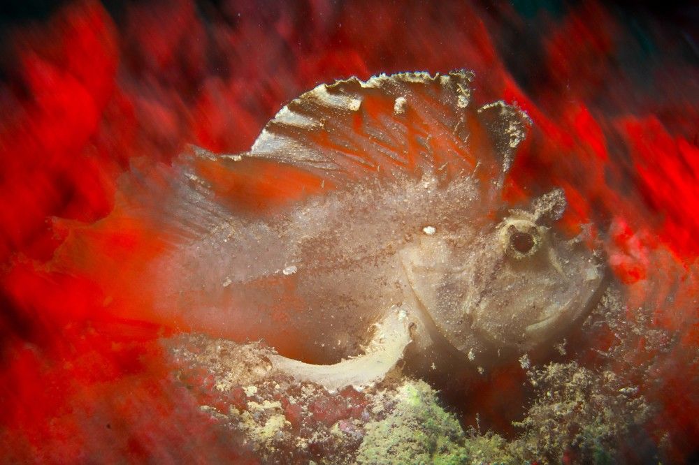 Photograph by Deniz muzaffer Gokmen