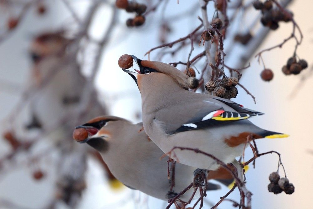Фотография автора Садыков