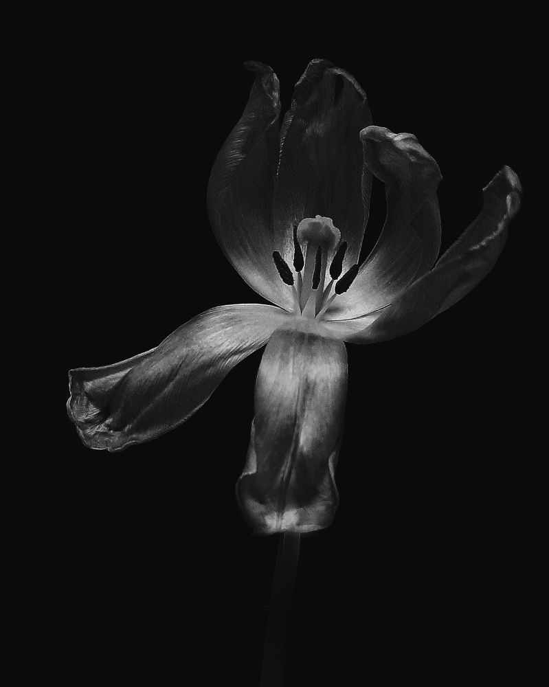 Photograph by Оксана Борисевич