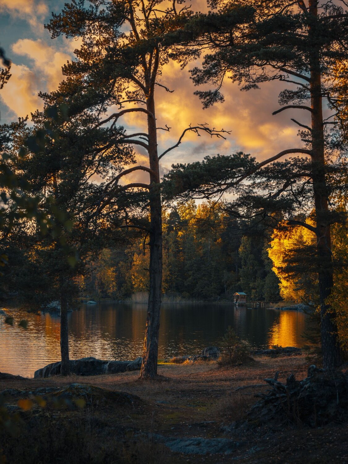 Фотография #8895955