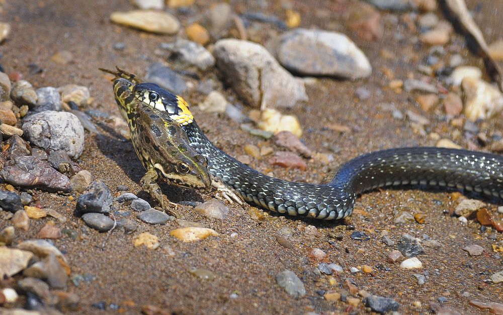 Photograph by Владимир Шпак