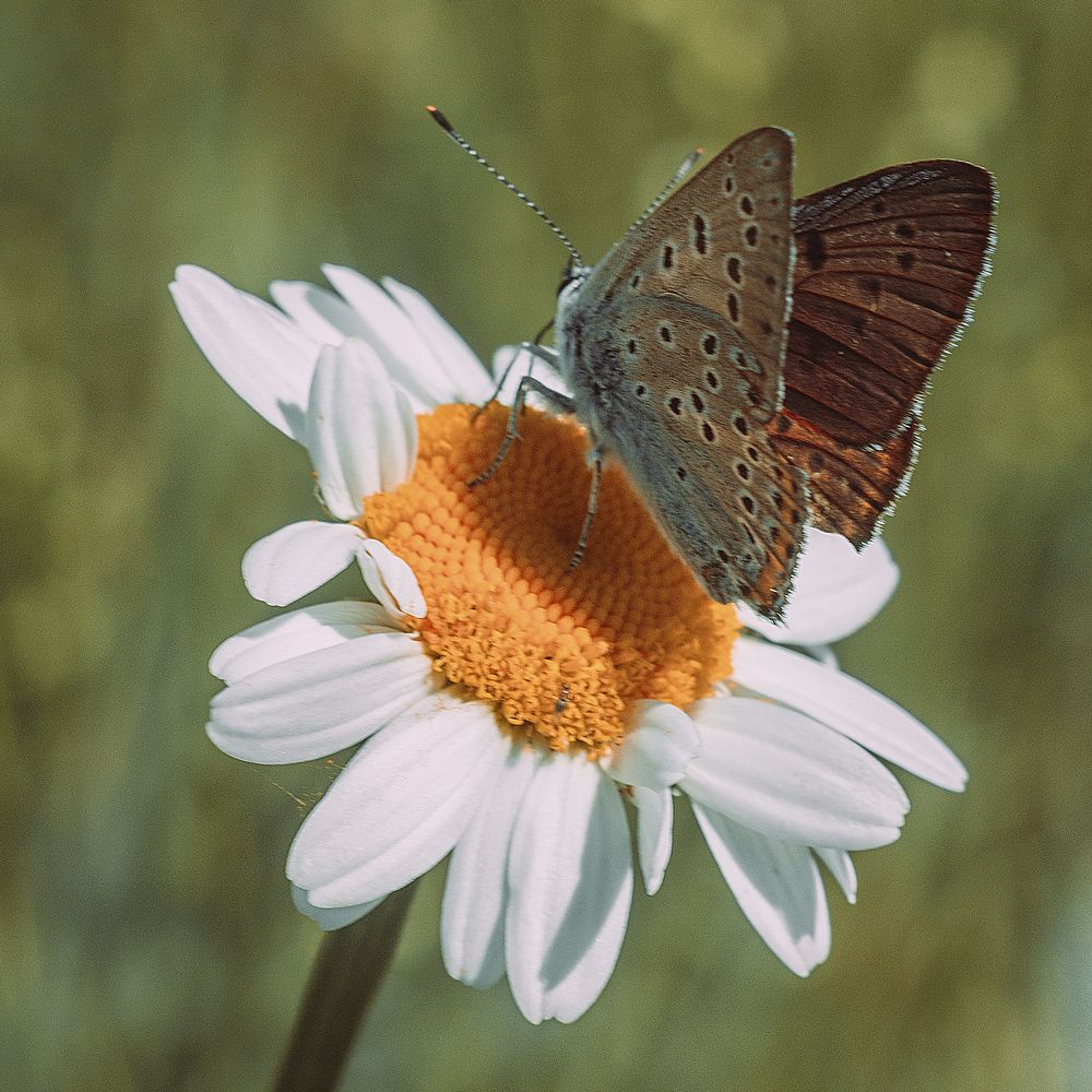 Photograph by Алена