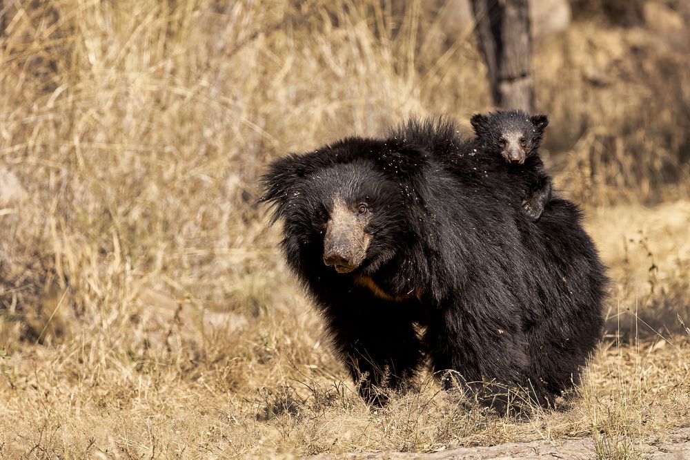 Photograph by Smita Behera