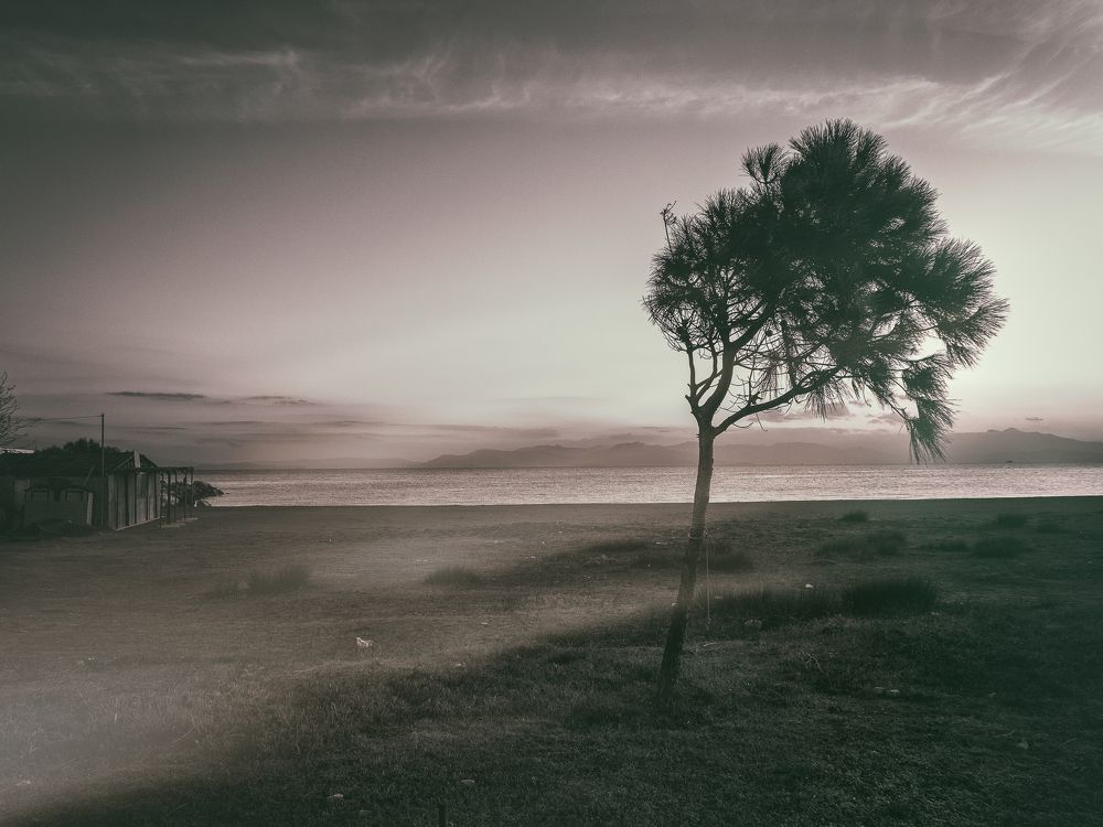 Photograph by Antonis Giakoumakis