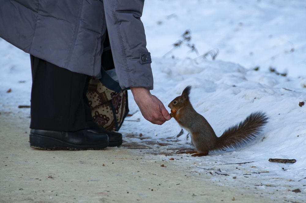 Photograph by Никита