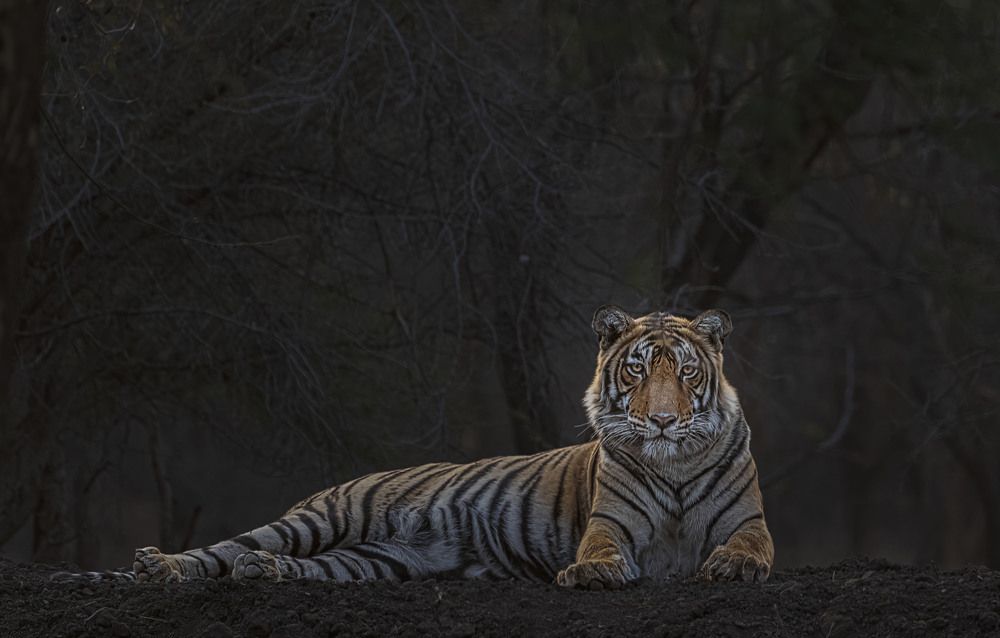 Photograph by Abhinav Behera