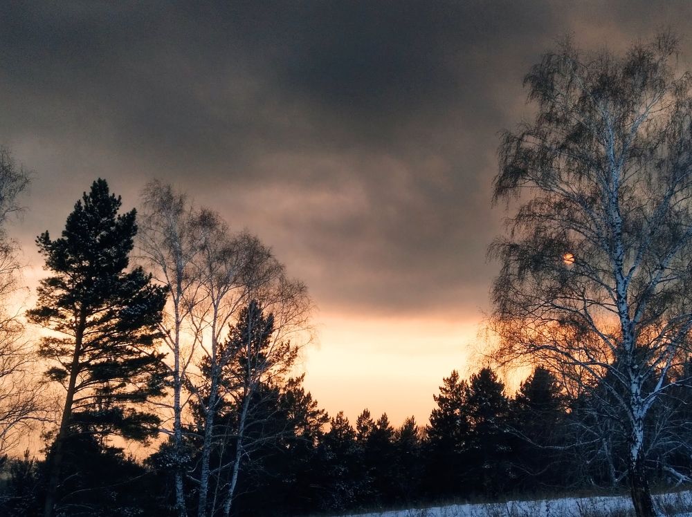 Photograph by Анастасия