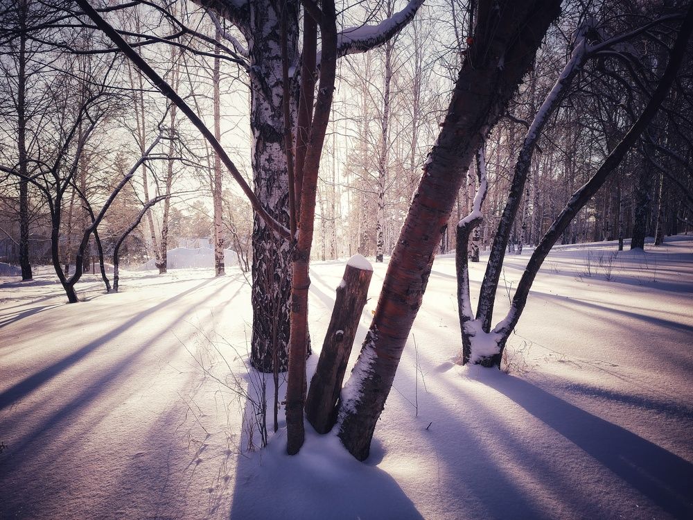 Фотография автора Плешков Игорь