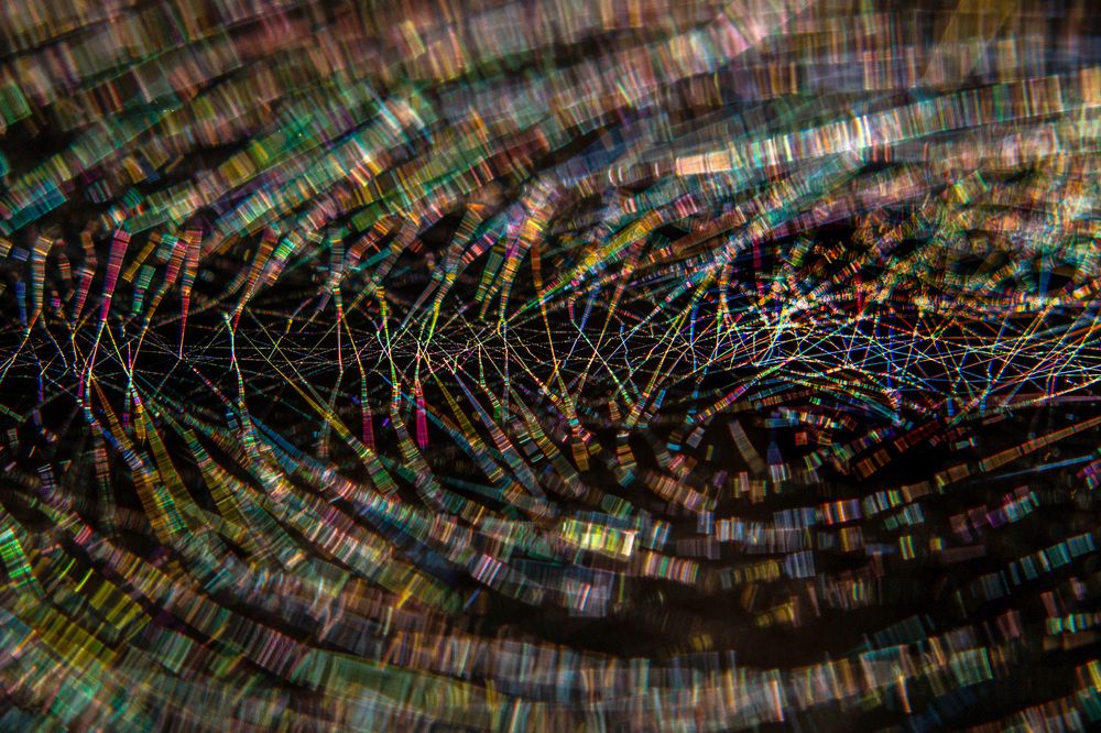 Природный дизайн