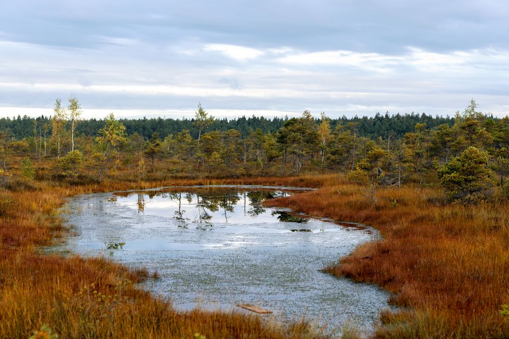 Photograph by Rolandas Valančauskas