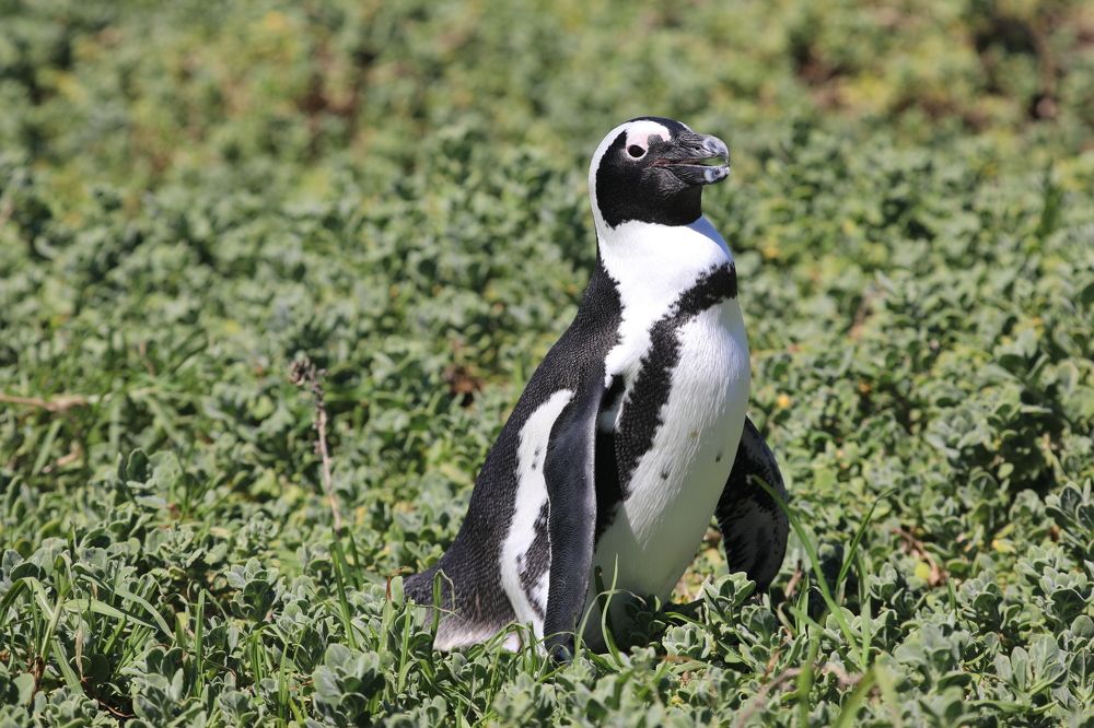 Photograph by MAKSIM MARKOV