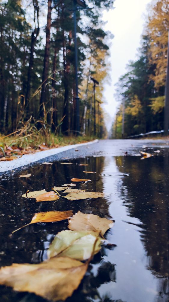 Photograph by Илья Сафаров