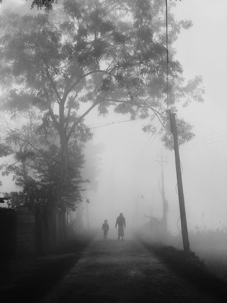 Фотография автора PRADIPTAMOY PAUL