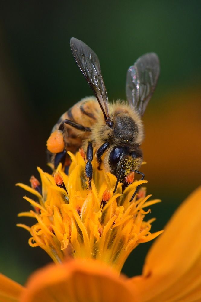 Photograph by Moura Denis