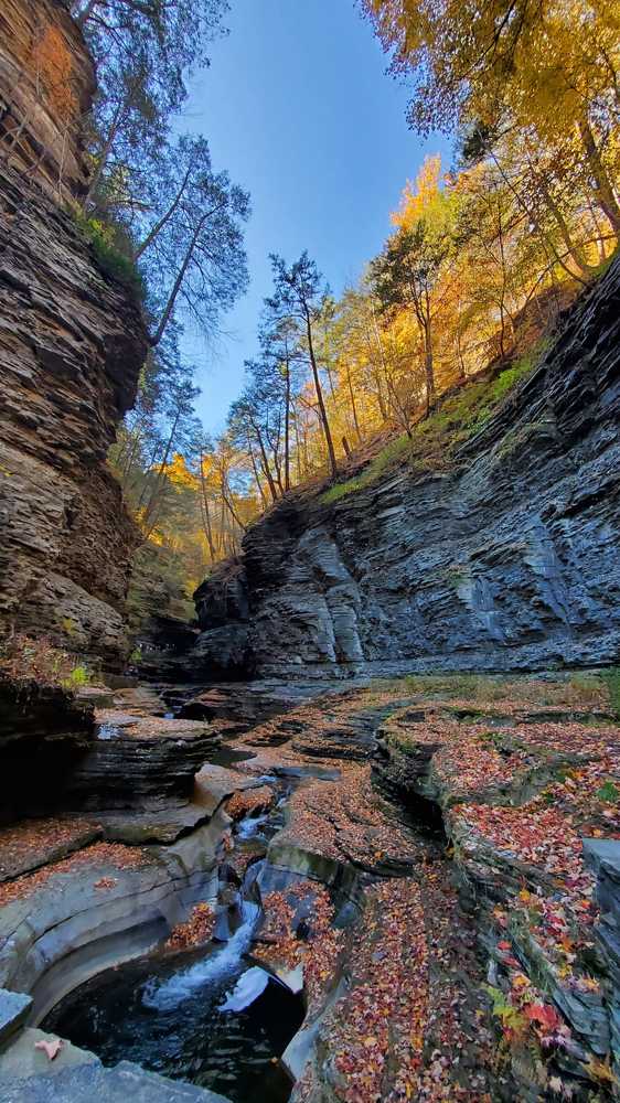 Photograph by Vidhi Bhati