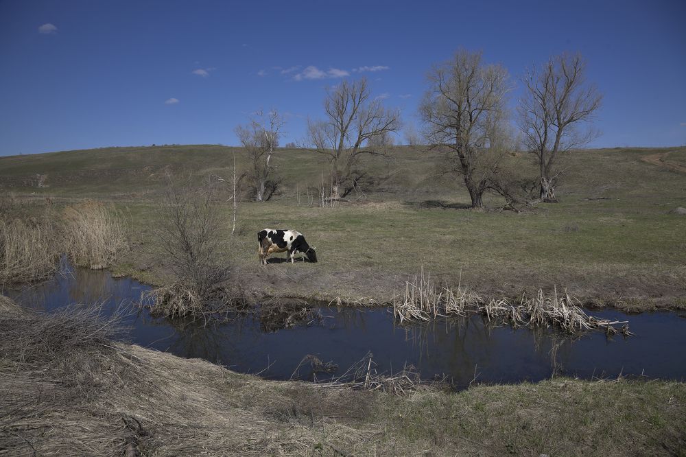 Фотография автора Виктор Кириллов