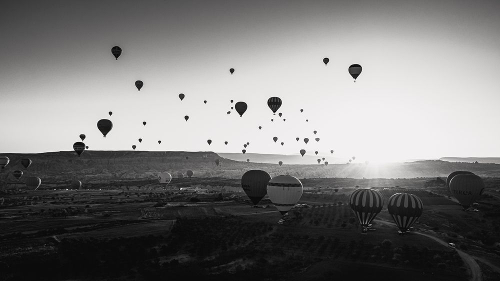 Photograph by Pedro Amaro