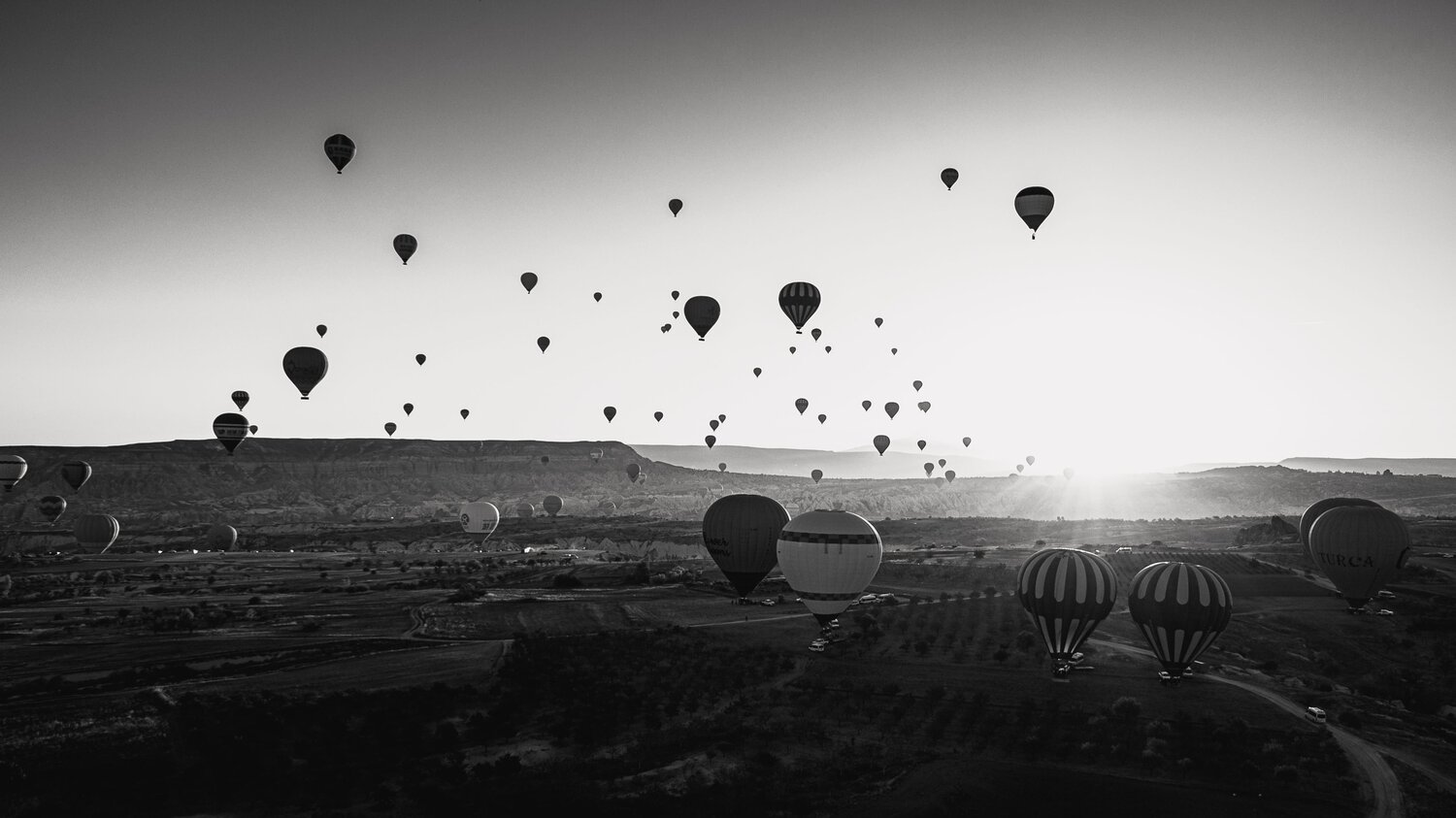 Photo #8896444
