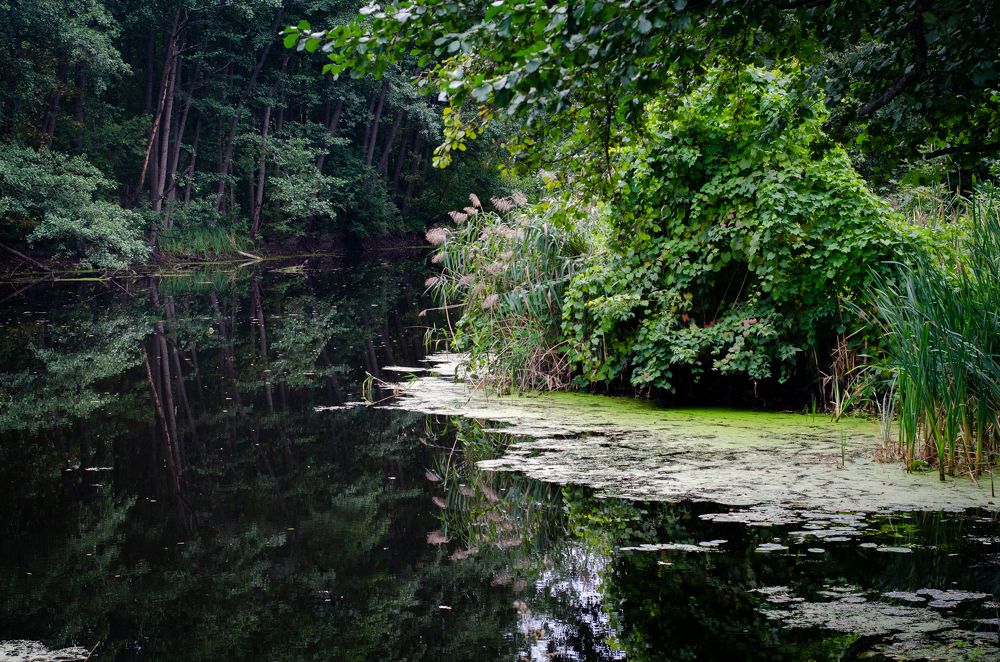 Photograph by Константин Числов