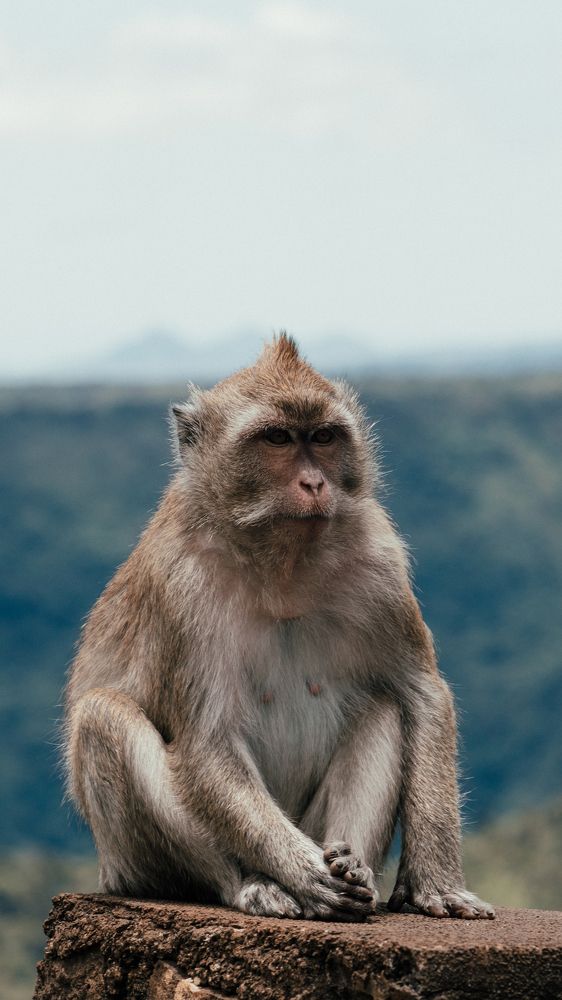 Photograph by Pedro Amaro