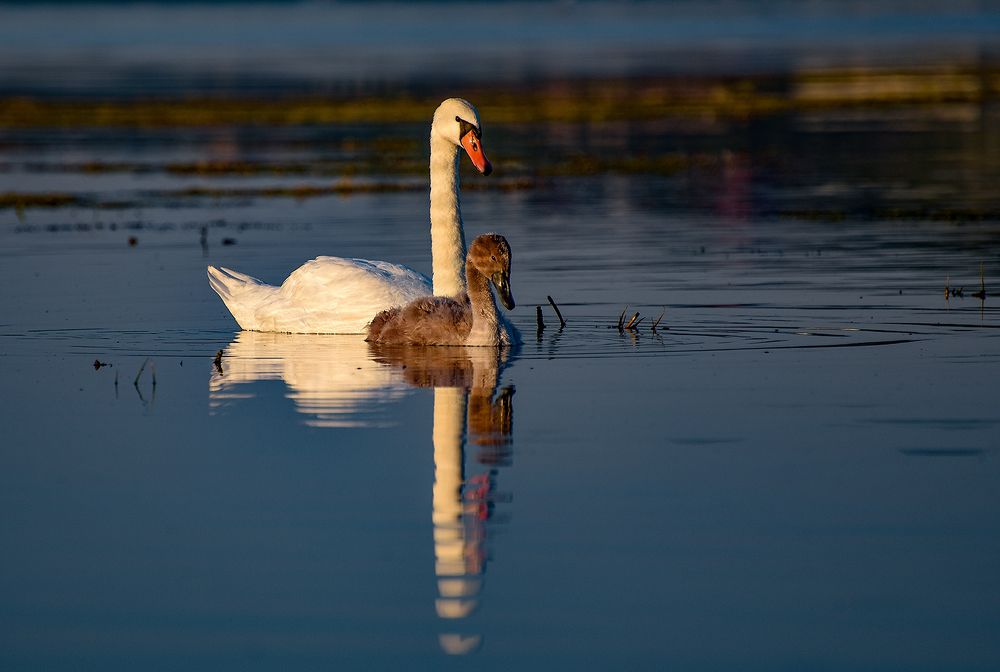Photograph by Сергей Шварцман