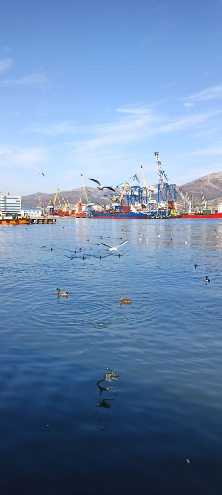 Photograph by Ирина