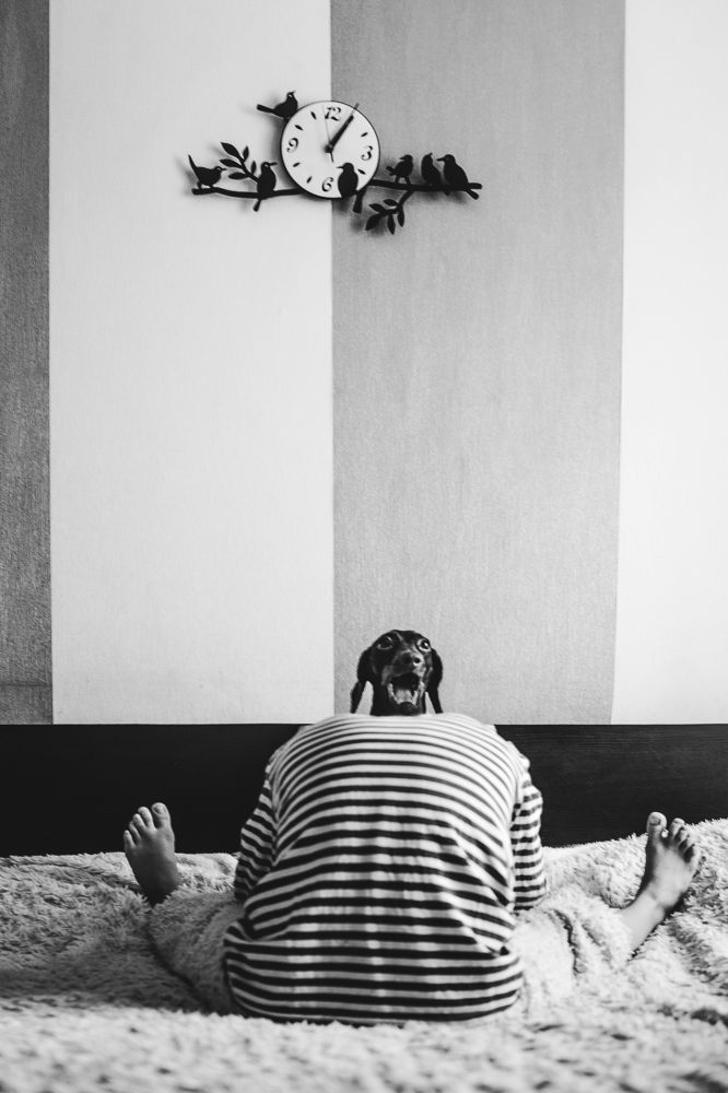 Photograph by Ольга Свистунова