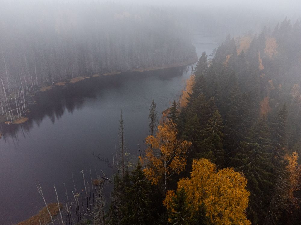 Фотография автора Александр Колдин