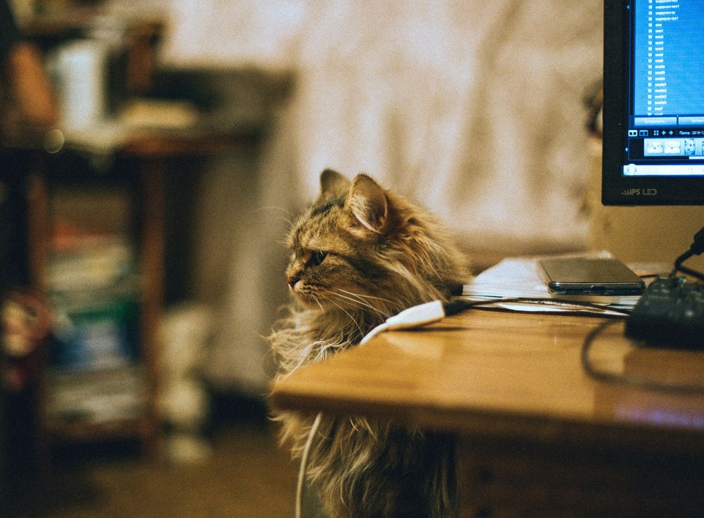 Photograph by Вероника Янина