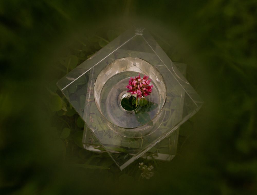 Photograph by Vladislav Yakushev