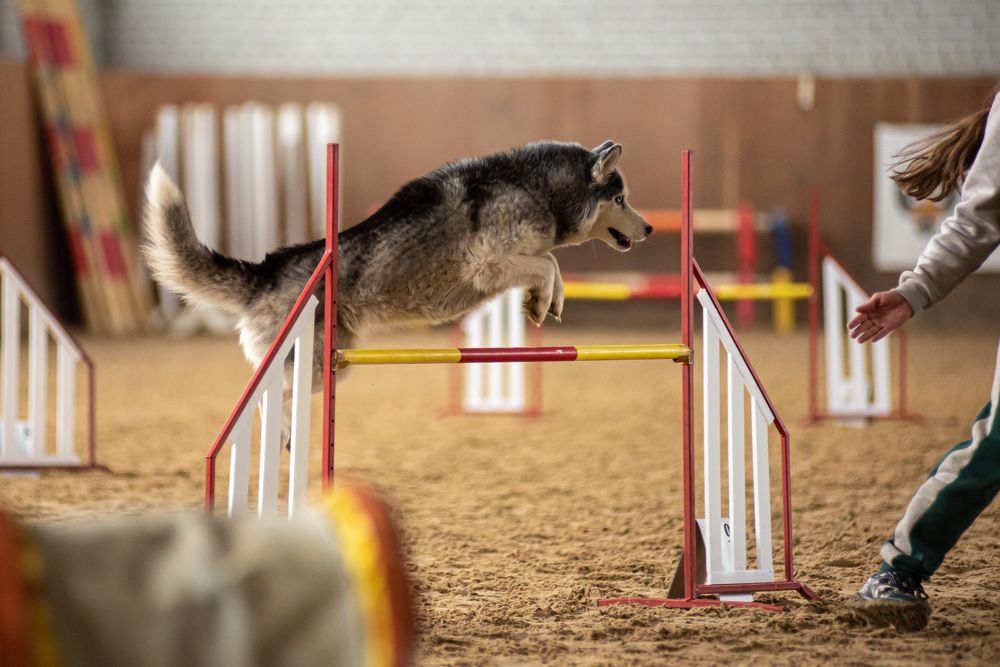 Photograph by наталья залогина