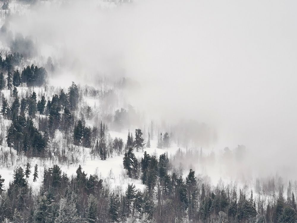 Photo #8896710