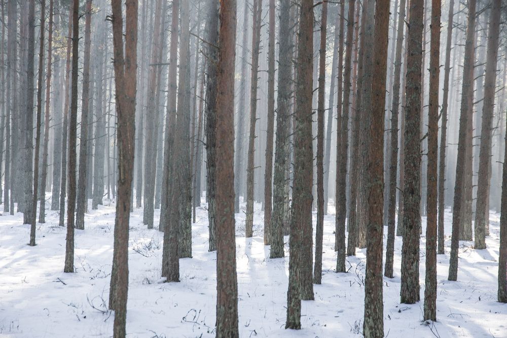 Photograph by Илья Сафаров