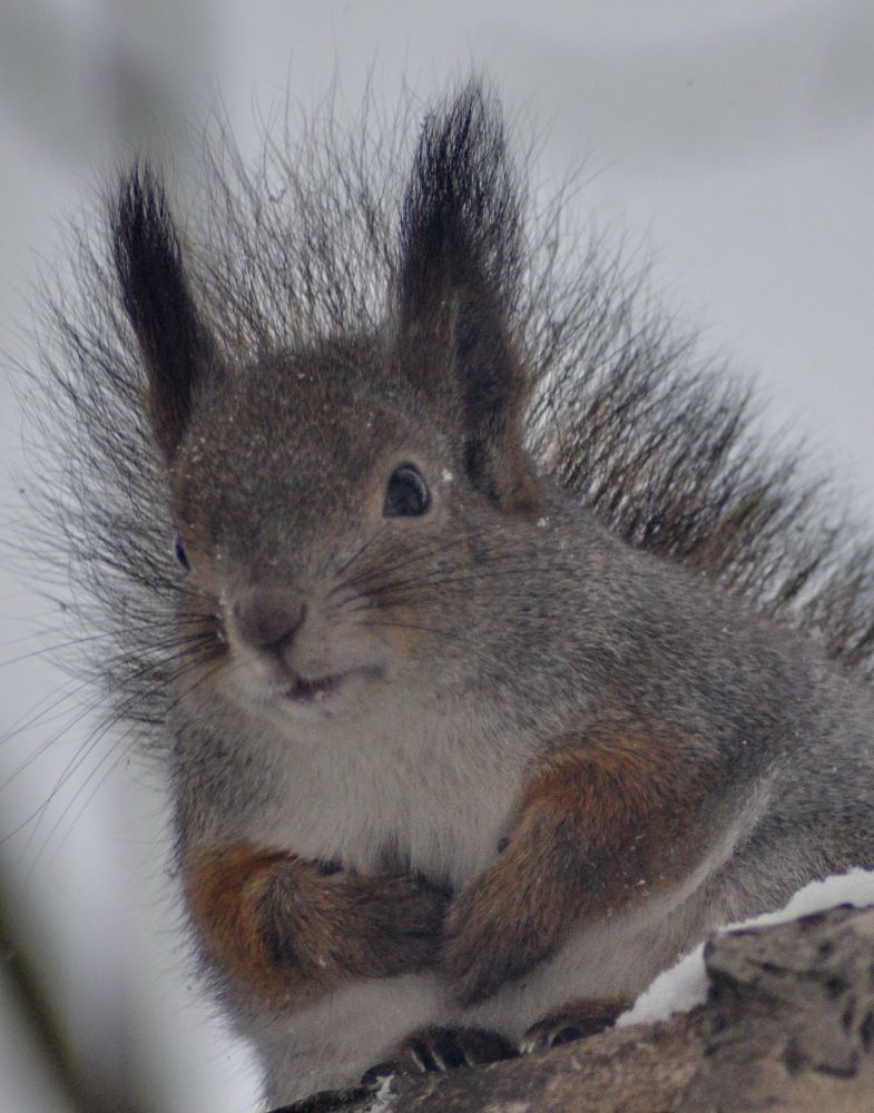 Photograph by Николай Николаевич Леухин