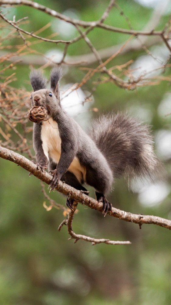 Photograph by Николай Чухрай