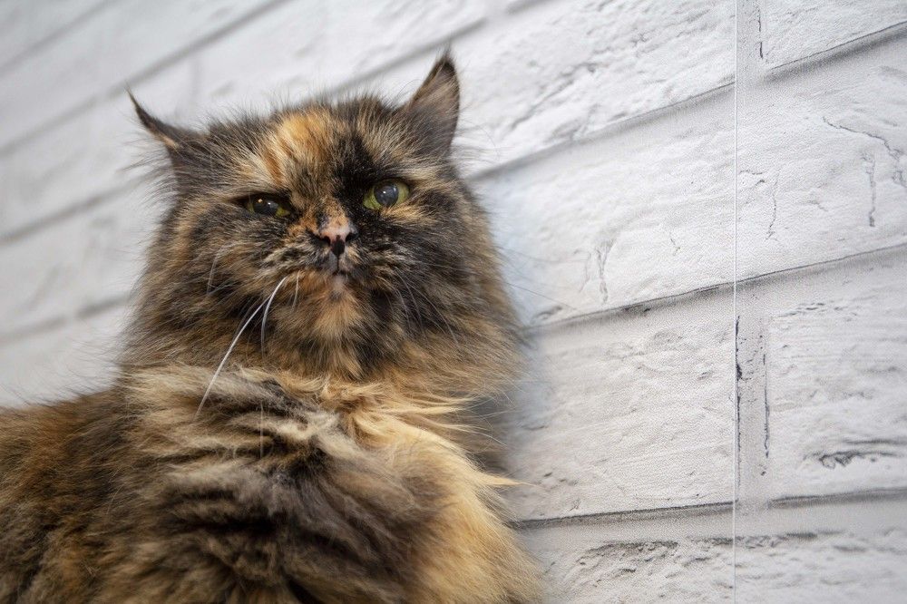 Photograph by Наталья Катюжанская