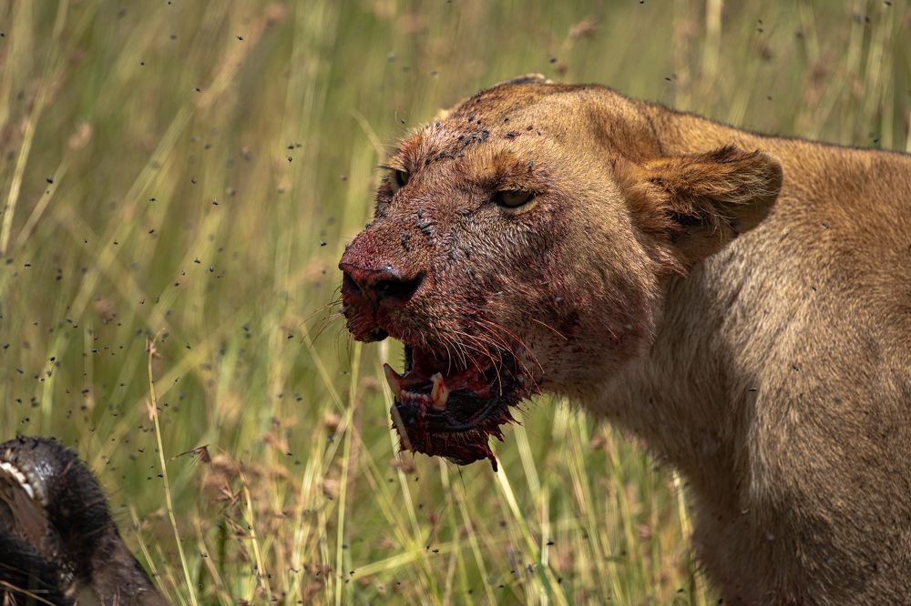 Photograph by Sangeetha Damodaran