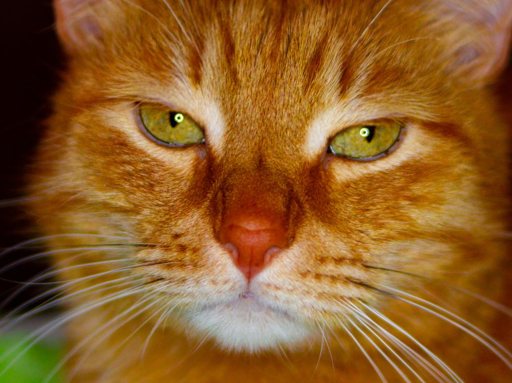 Photograph by Егор Кузин