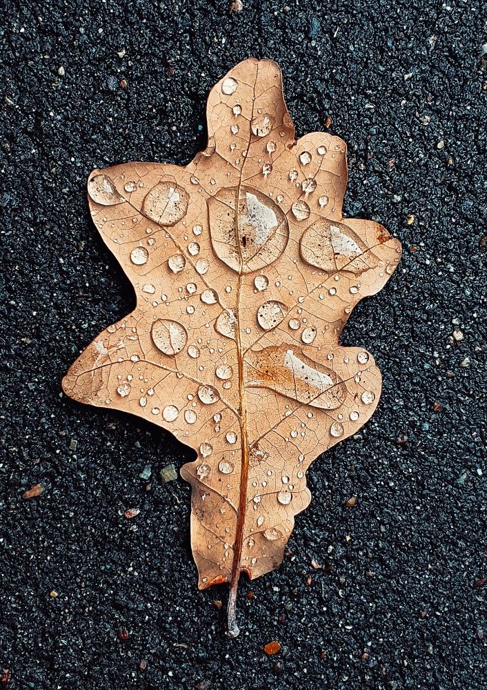 Photograph by Артем Гатин