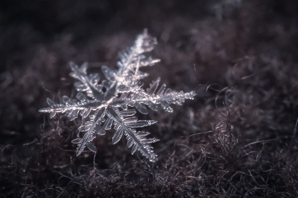 Photograph by Ольга Тюрина