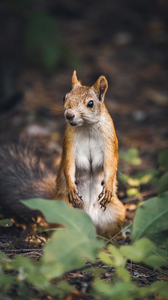 Photograph by Антон Дроздов