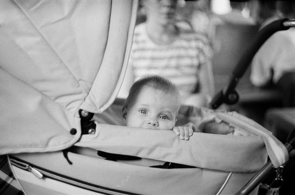 Photograph by Эльвира