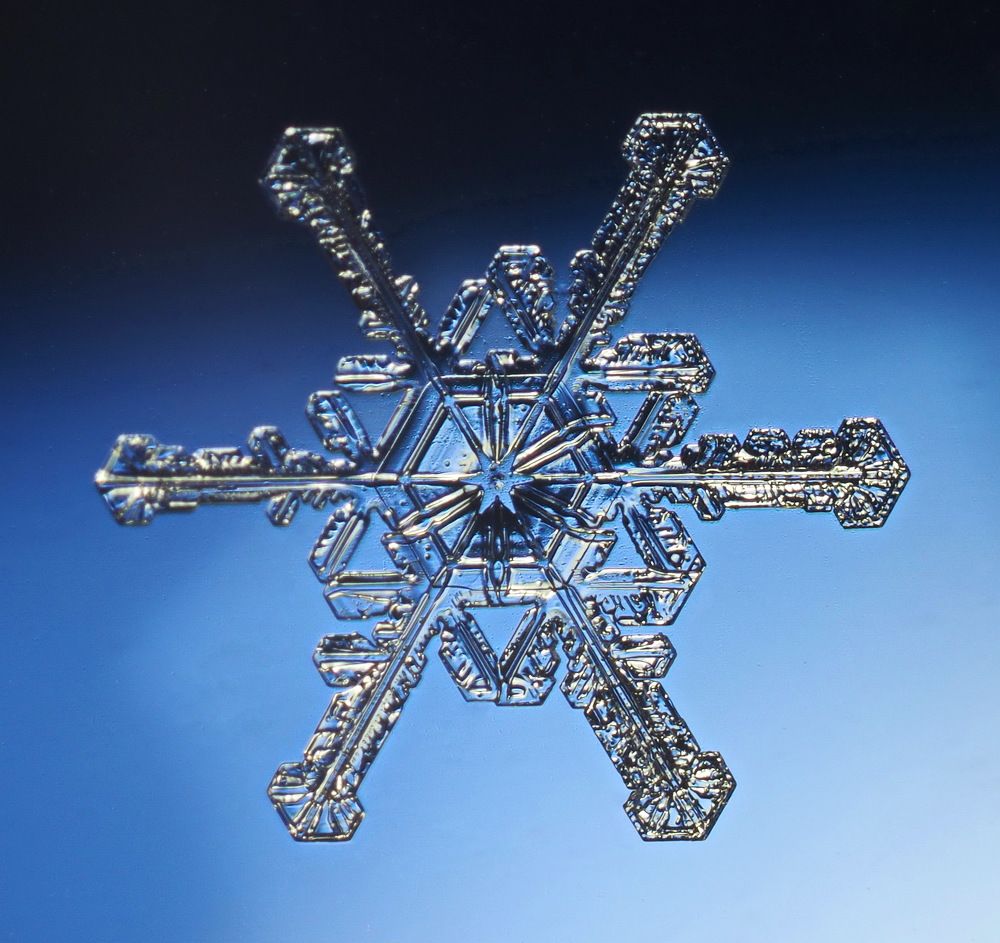 Снежинка 2023