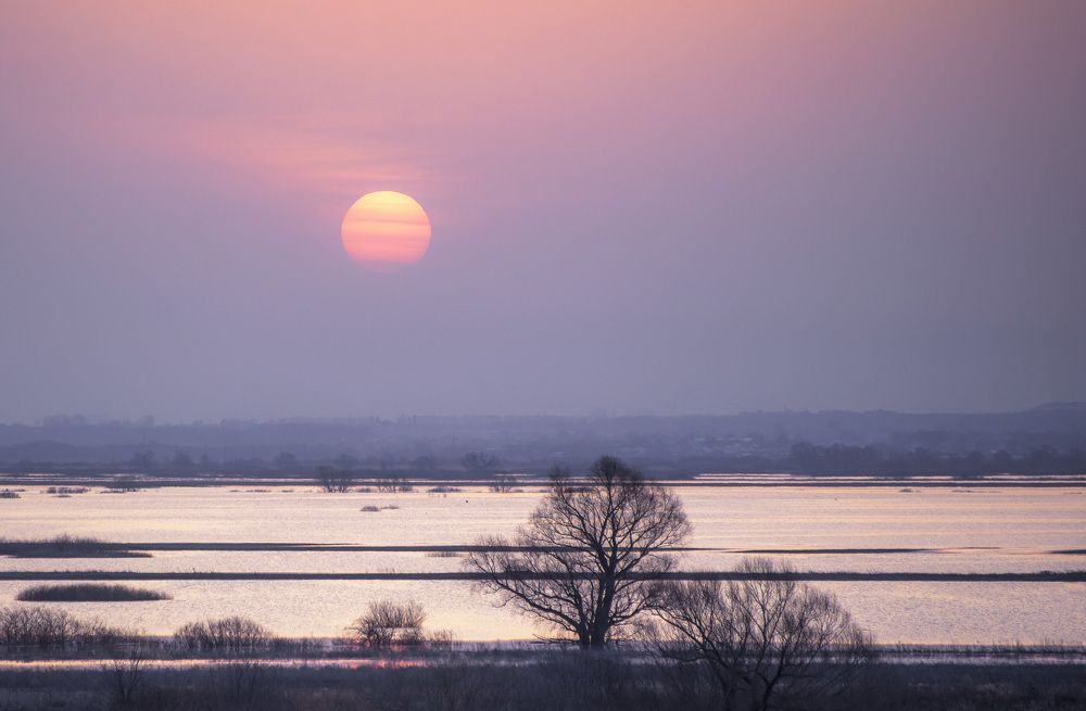 Photograph by Евгений