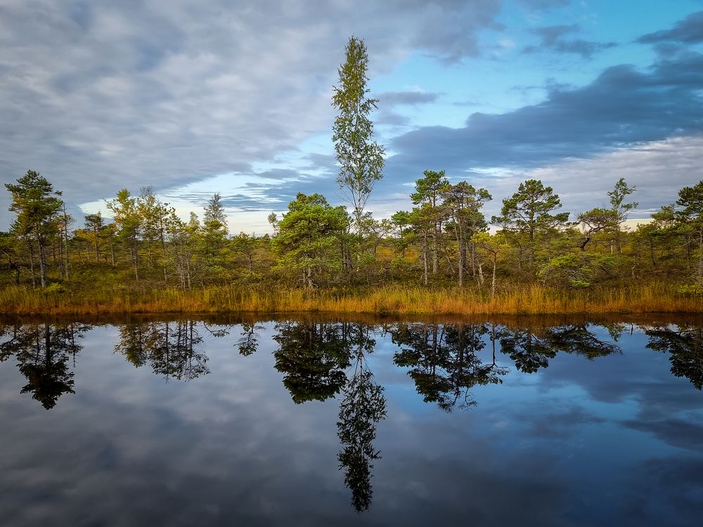 Photograph by Rolandas Valančauskas