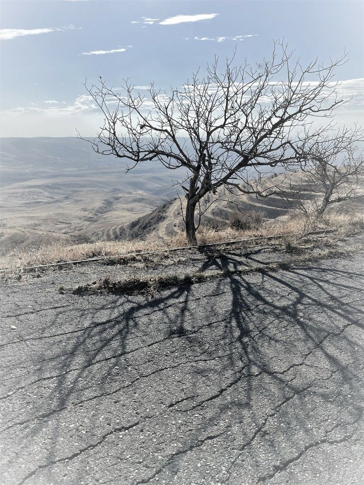 Photograph by Лисовой Максим