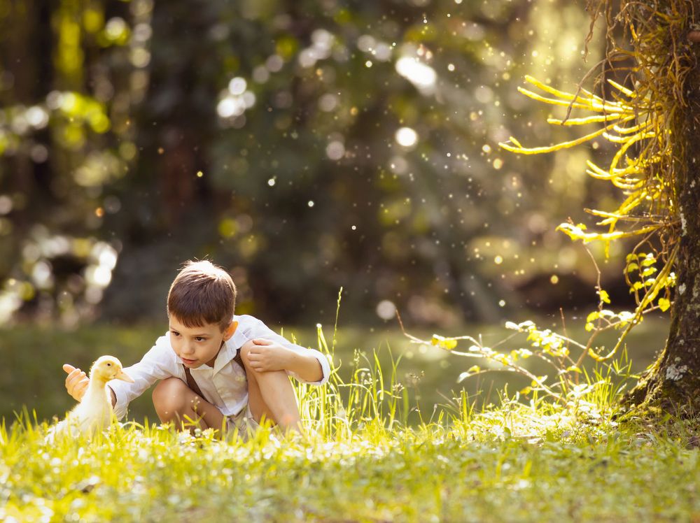 Photograph by Haiga Hobus